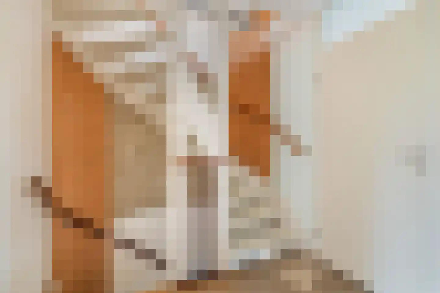 Wilgenhof 12 Leersum thumbnail 24