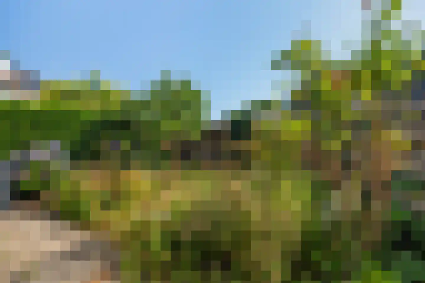 Wilgenhof 12 Leersum thumbnail 27