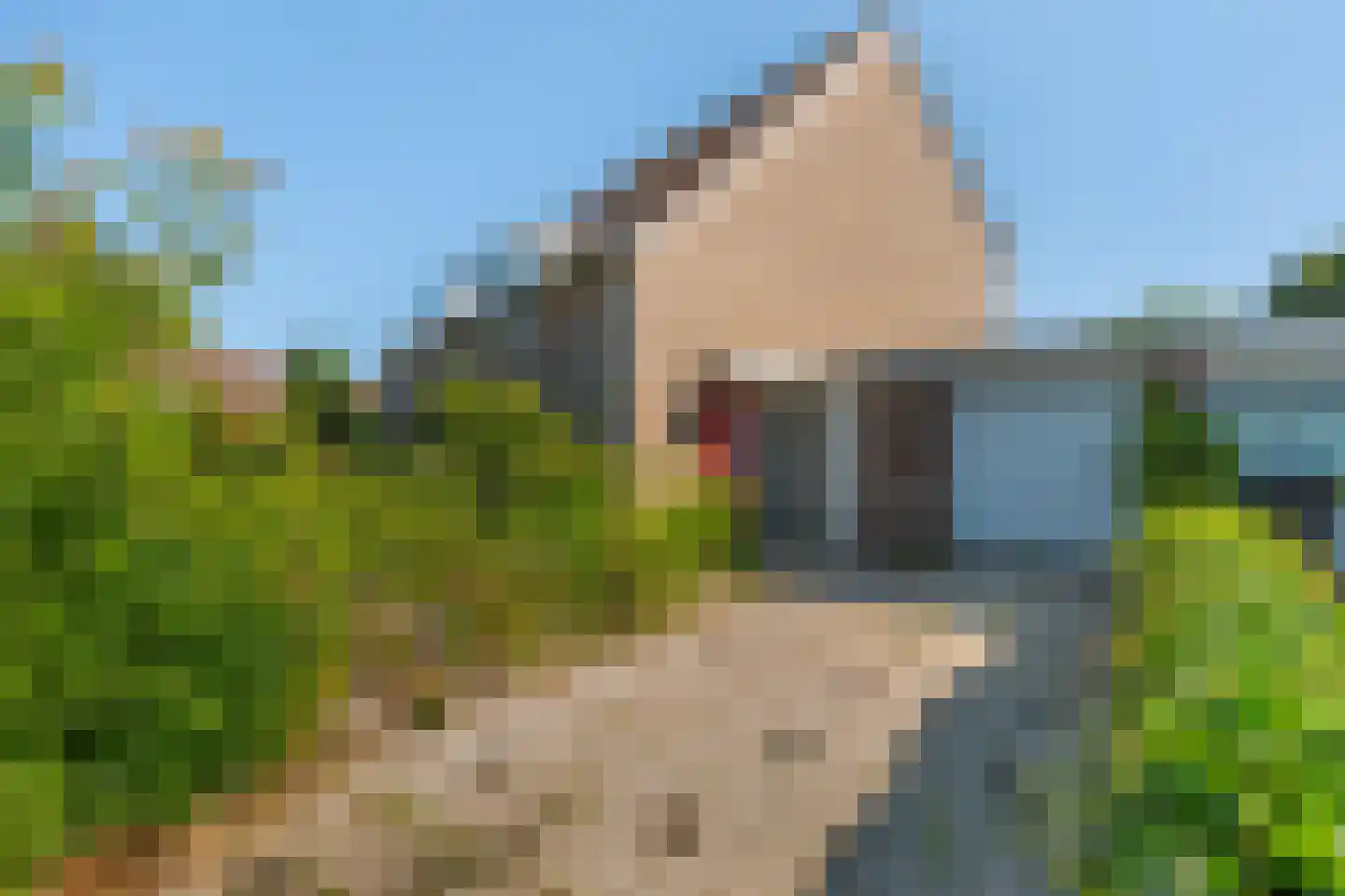 Wilgenhof 12 Leersum thumbnail 8