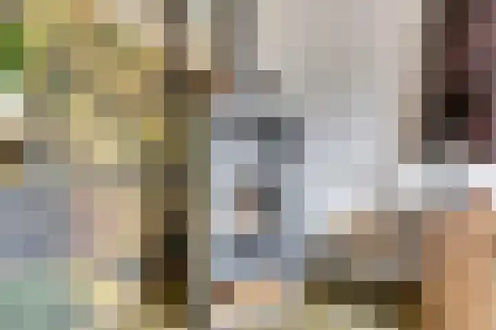Wilgenhof 13 Gendt thumbnail 11