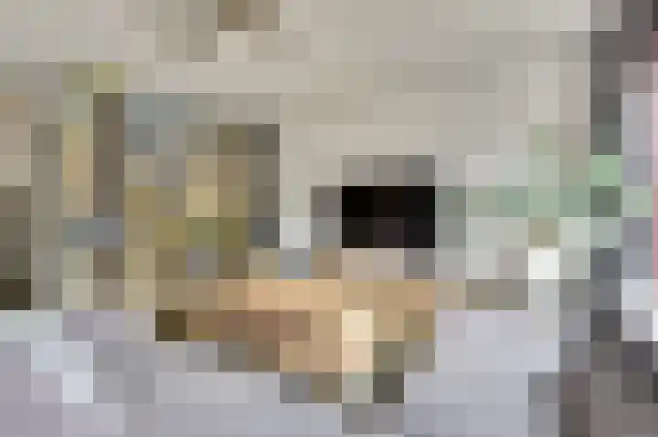 Wilgenhof 13 Gendt thumbnail 13