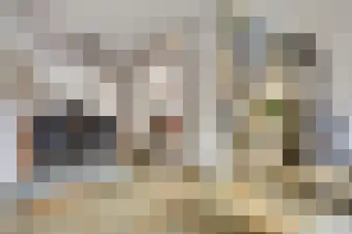 Wilgenhof 13 Gendt thumbnail 14