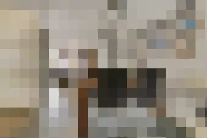 Wilgenhof 13 Gendt thumbnail 17