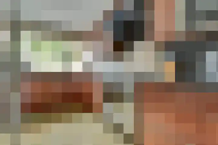 Wilgenhof 13 Gendt thumbnail 18