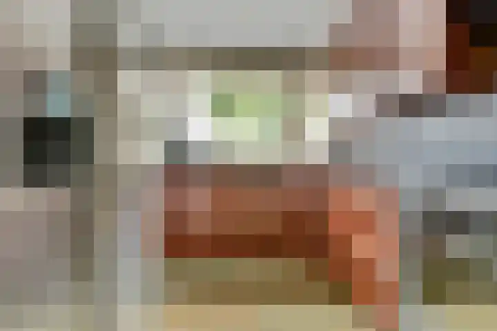 Wilgenhof 13 Gendt thumbnail 20