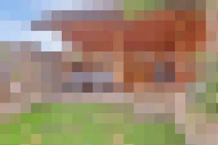 Wilgenhof 13 Gendt thumbnail 23