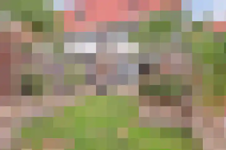 Wilgenhof 13 Gendt thumbnail 24