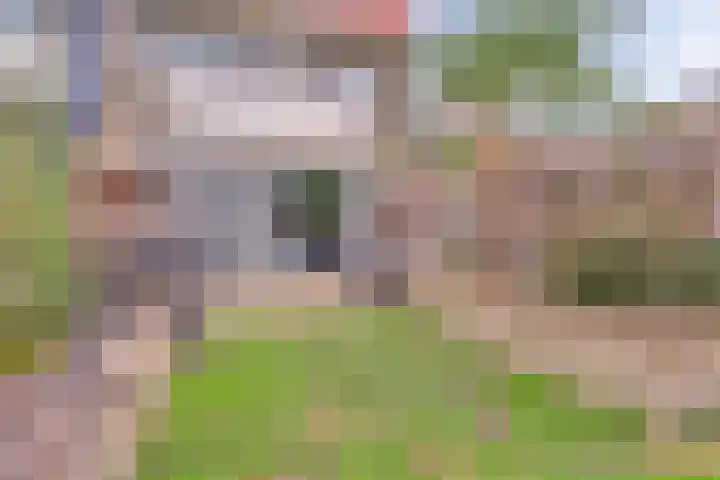 Wilgenhof 13 Gendt thumbnail 25