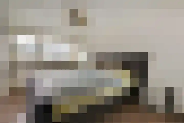 Wilgenhof 13 Gendt thumbnail 29