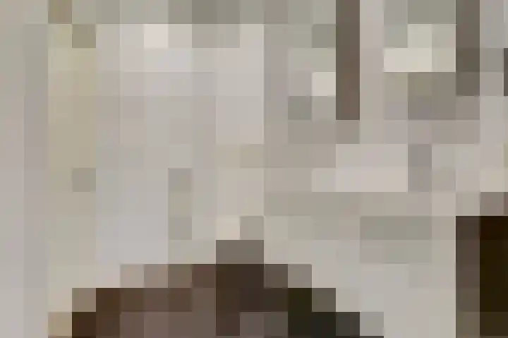 Wilgenhof 13 Gendt thumbnail 34