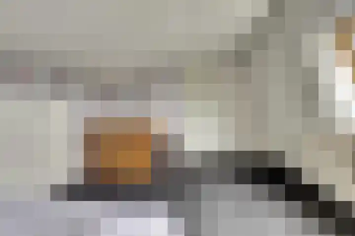 Wilgenhof 13 Gendt thumbnail 37
