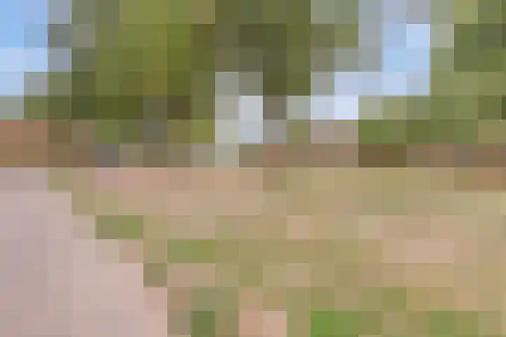 Wilgenhof 13 Gendt thumbnail 40