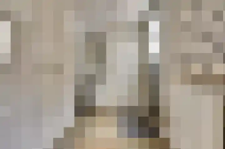 Wilgenhof 13 Gendt thumbnail 5