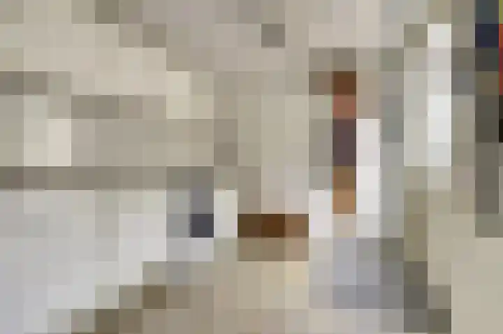 Wilgenhof 13 Gendt thumbnail 7