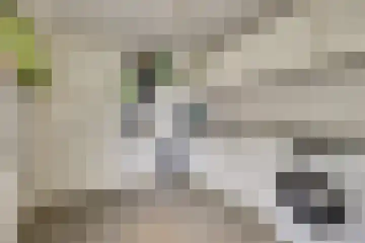 Wilgenhof 13 Gendt thumbnail 8