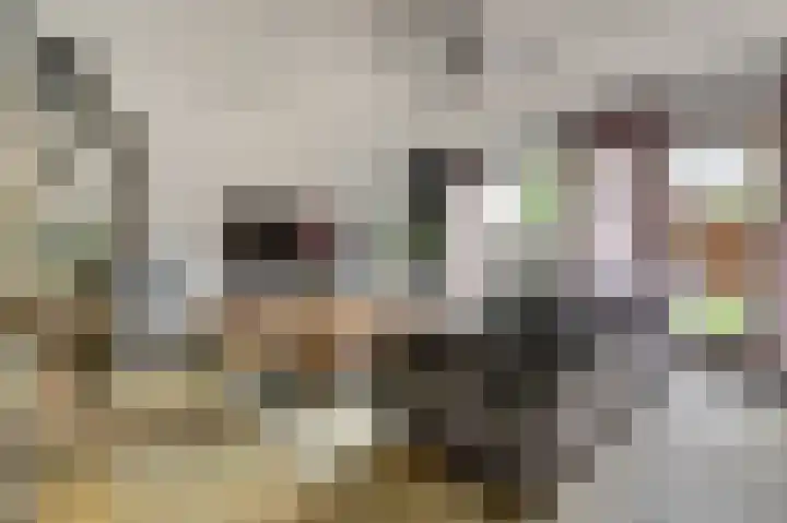Wilgenhof 13 Gendt thumbnail 9