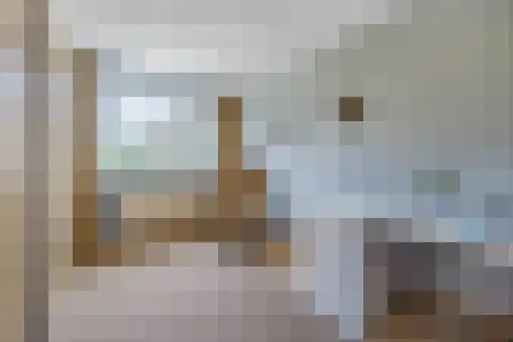 Wilgenhof 139 Papendrecht thumbnail 13