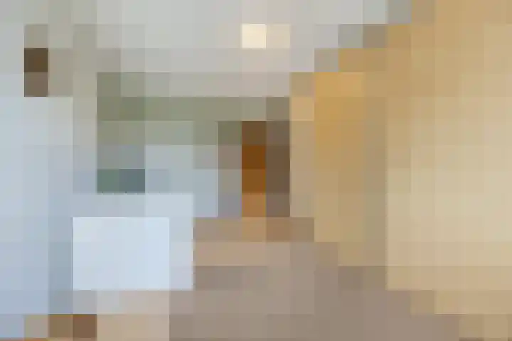 Wilgenhof 139 Papendrecht thumbnail 14