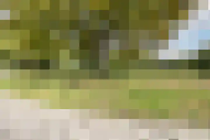 Wilgenhof 139 Papendrecht thumbnail 30