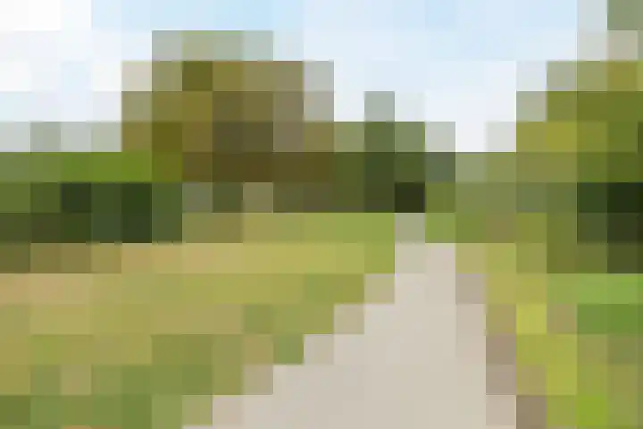 Wilgenhof 139 Papendrecht thumbnail 31