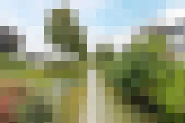 Wilgenhof 139 Papendrecht thumbnail 32
