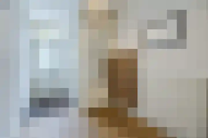 Wilgenhof 139 Papendrecht thumbnail 9