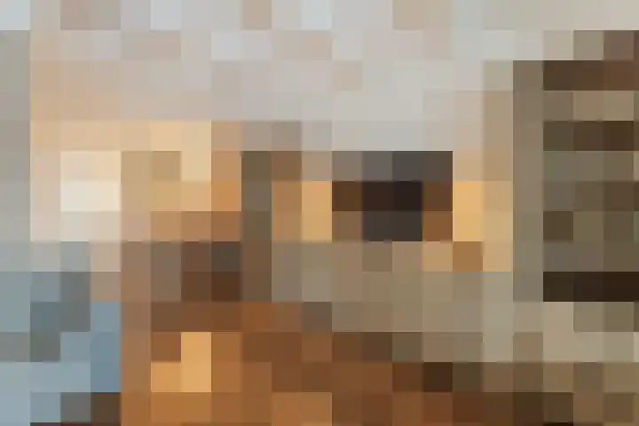 Wilgenhof 14 Gendt thumbnail 14