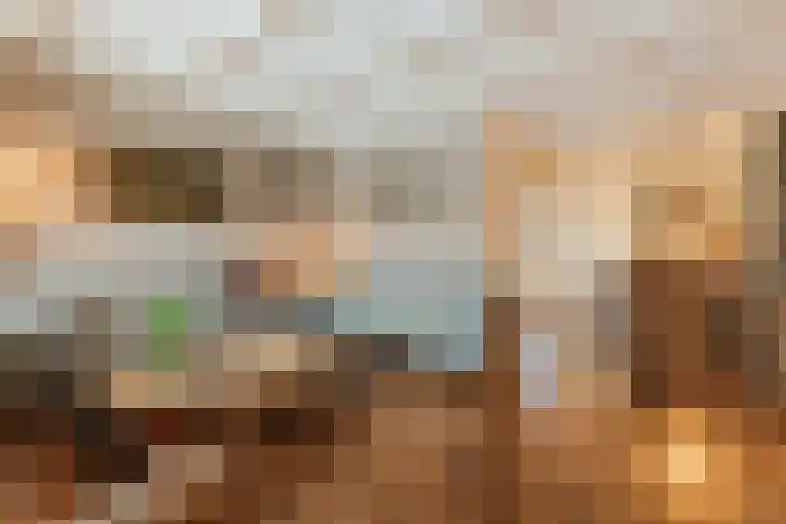Wilgenhof 14 Gendt thumbnail 15