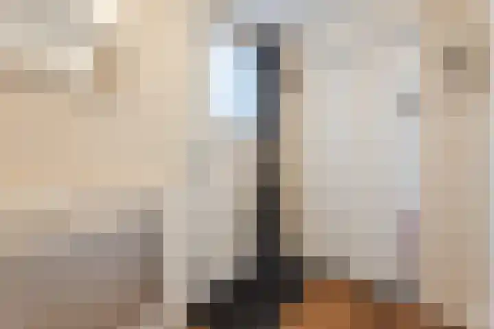 Wilgenhof 14 Gendt thumbnail 18