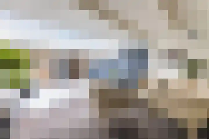 Wilgenhof 14 Gendt thumbnail 34