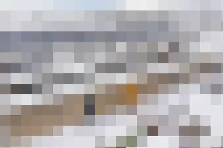 Wilgenhof 14 Gendt thumbnail 4