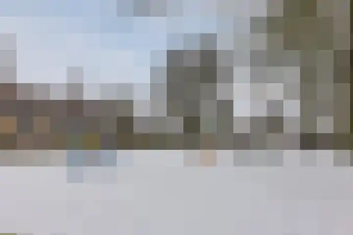 Wilgenhof 14 Gendt thumbnail 40
