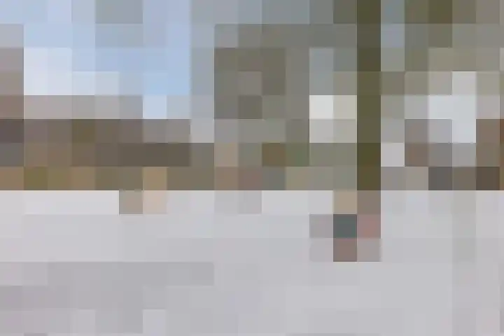 Wilgenhof 14 Gendt thumbnail 41
