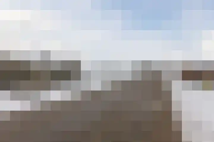 Wilgenhof 14 Gendt thumbnail 42