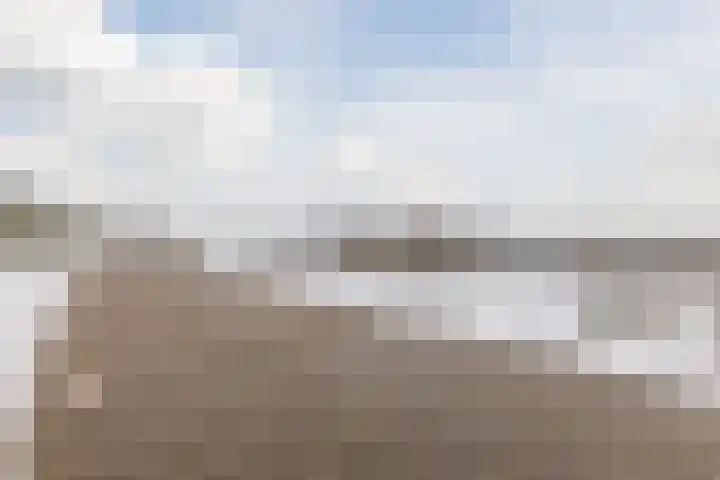 Wilgenhof 14 Gendt thumbnail 43