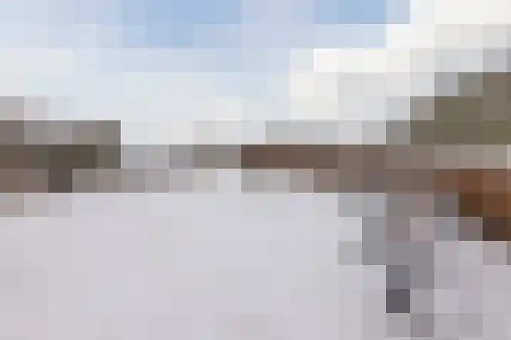 Wilgenhof 14 Gendt thumbnail 44