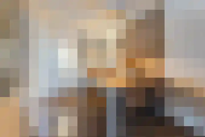 Wilgenhof 14 Gendt thumbnail 8