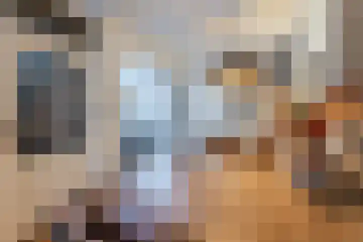 Wilgenhof 14 Gendt thumbnail 9
