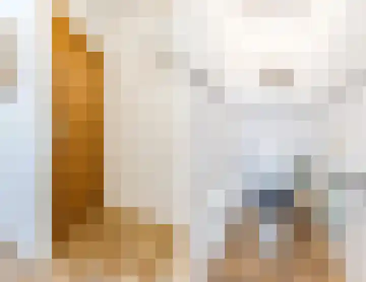 Wilgenhof 15 Papendrecht thumbnail 11