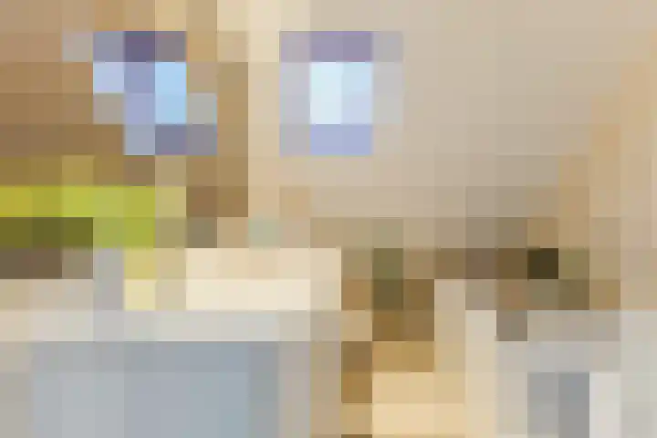 Wilgenhof 15 Papendrecht thumbnail 20