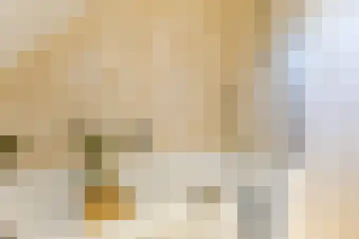 Wilgenhof 15 Papendrecht thumbnail 21