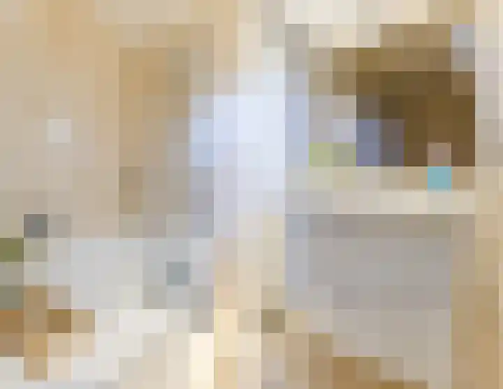 Wilgenhof 15 Papendrecht thumbnail 22