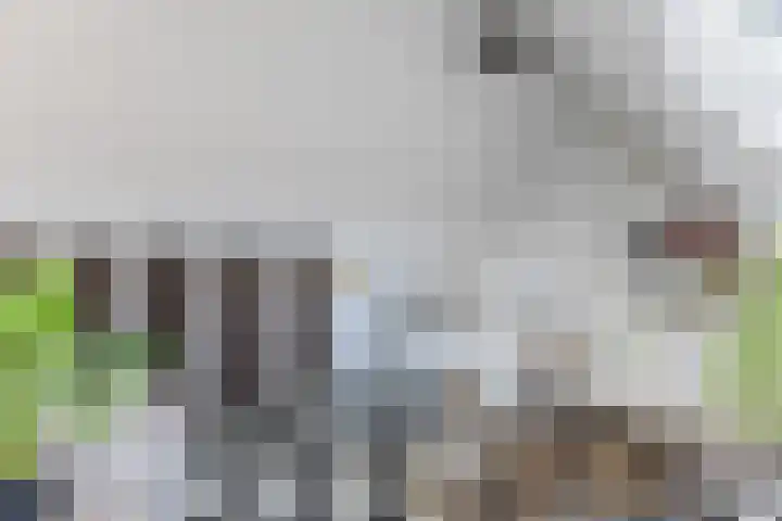 Wilgenhof 15 Papendrecht thumbnail 25