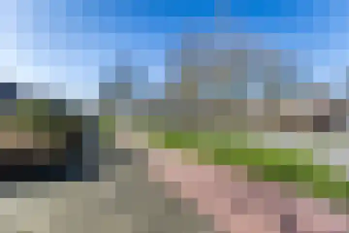 Wilgenhof 15 Papendrecht thumbnail 30