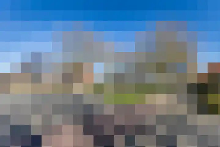 Wilgenhof 15 Papendrecht thumbnail 31