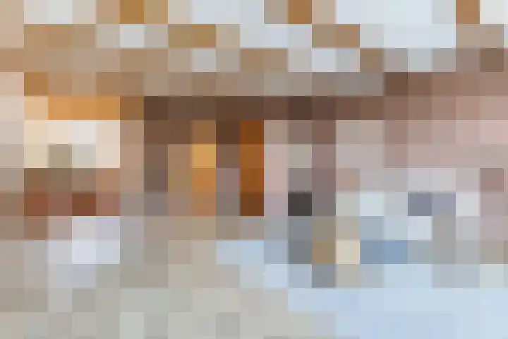 Wilgenhof 15 Papendrecht thumbnail 4