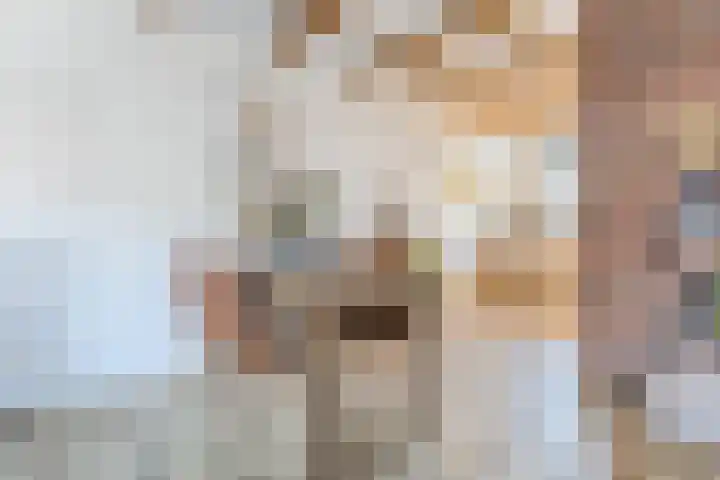 Wilgenhof 15 Papendrecht thumbnail 5