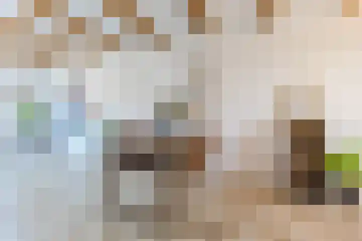 Wilgenhof 15 Papendrecht thumbnail 7