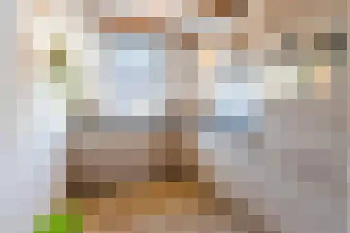 Wilgenhof 15 Papendrecht thumbnail 8