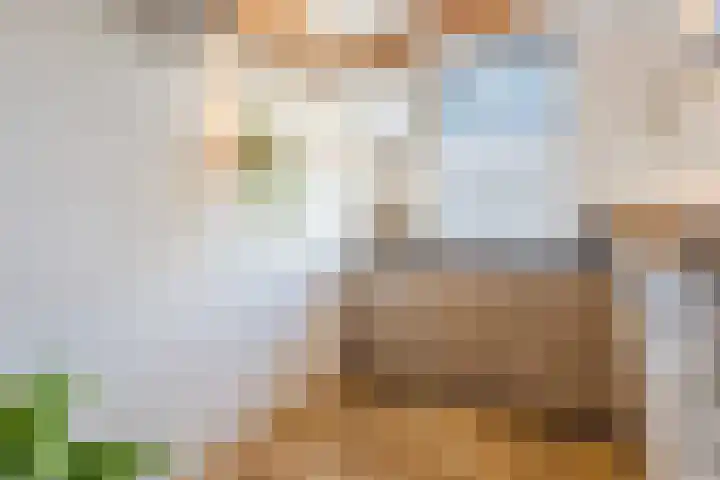 Wilgenhof 15 Papendrecht thumbnail 9